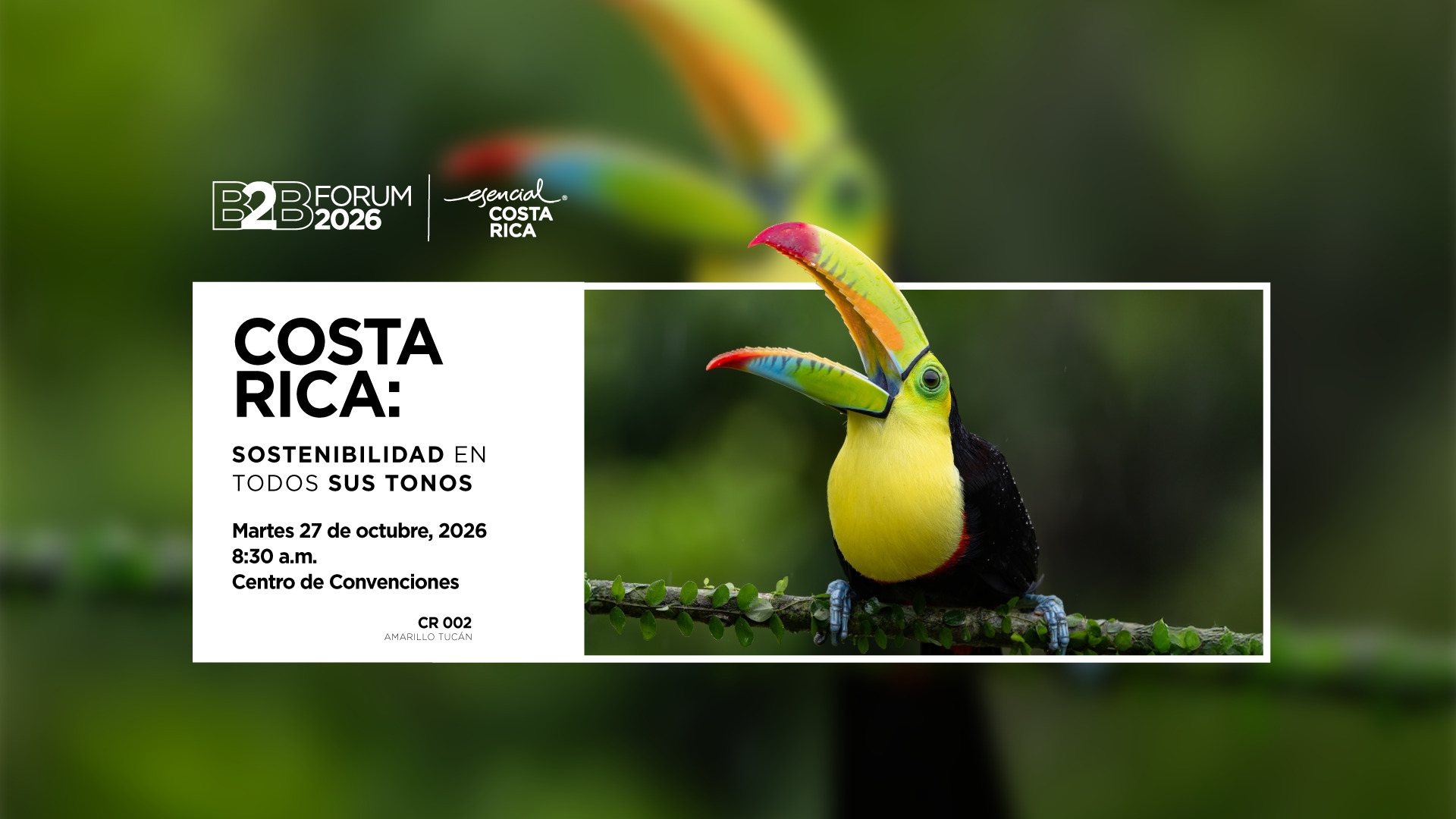 Banner-B2B-Forum-2026-1