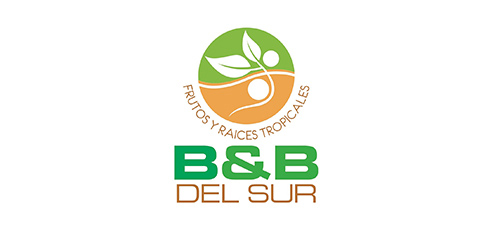bbdelsur-logo