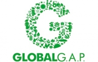 global_gap_logo