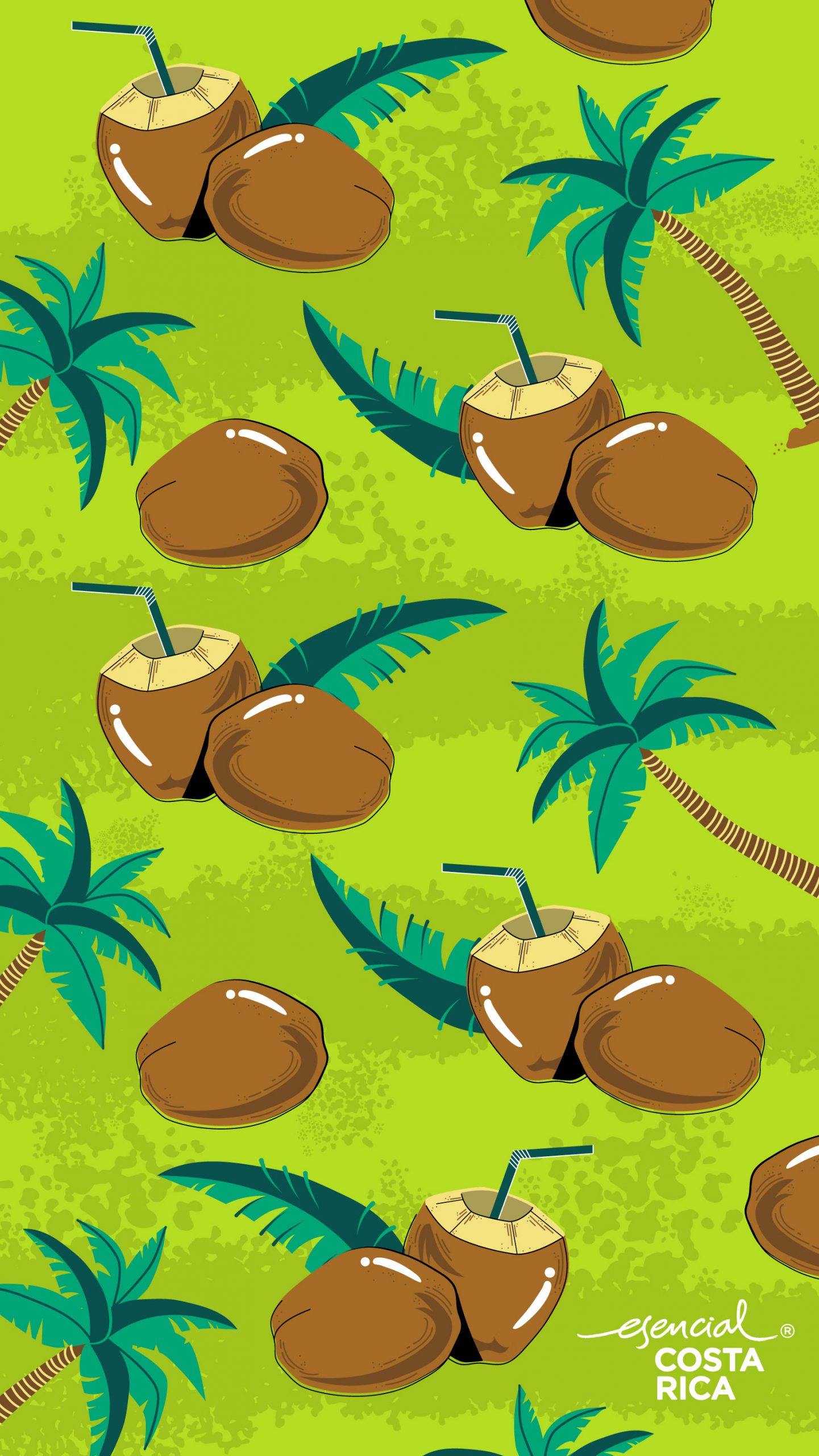 Fondos de pantalla – esencial Costa Rica – Hagamos País Fondos de pantalla – esencial Costa Rica – Hagamos País